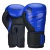 NL QT Black Blue