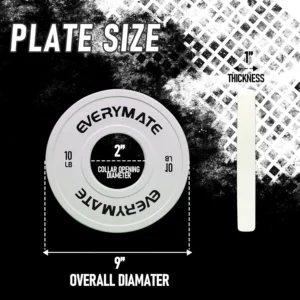 Change Weight Plates, 10 LBX2, Fractional Plate Bumper Plates for Cross Training Bumper Weight Plates Steel Insert St